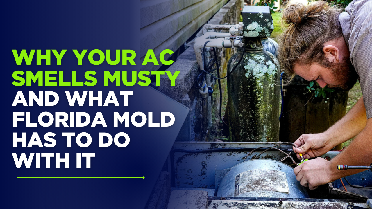 Why Your AC Smells Musty